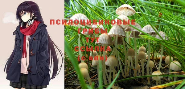 сатива Алексеевка