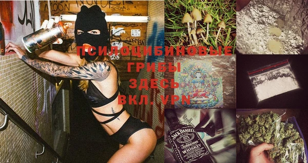 бошки Алзамай