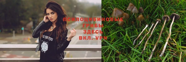 бошки Алзамай
