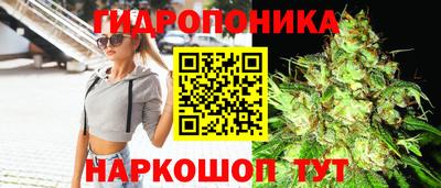 МДПВ Ачхой-Мартан
