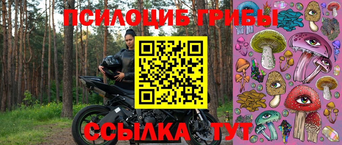 Псилоцибиновые грибы мухоморы Бийск