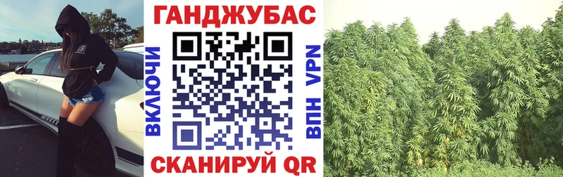Канабис марихуана кракен зеркало Бийск купить наркотик